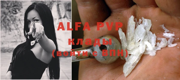гидра Белокуриха