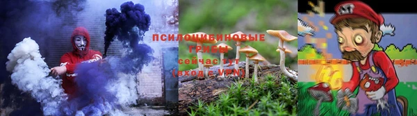 гидра Белокуриха