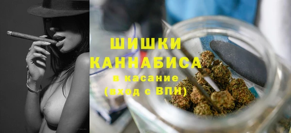 гидра Белокуриха