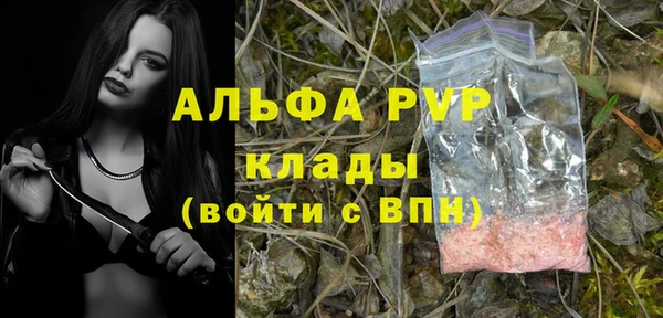 гидра Белокуриха