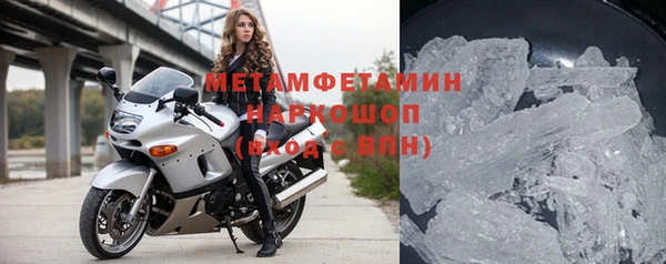 гидра Белокуриха